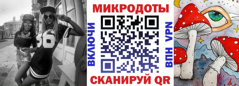 Купить где Черкесск Псилоцибиновые грибы GOLDEN TEACHER